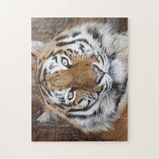 Tiger Portrait Puzzle (Vertikal)