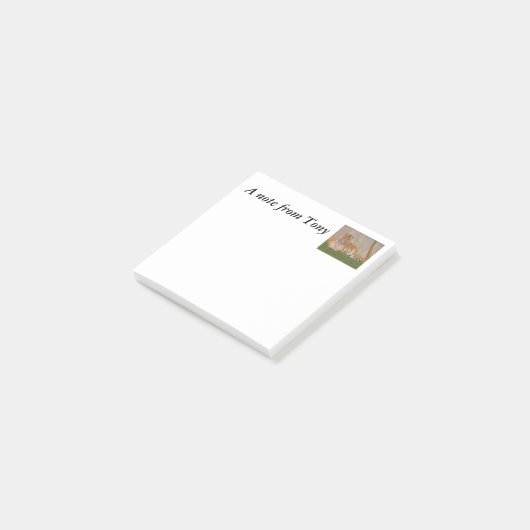 Tiger Post-it Klebezettel (angewinkelt)