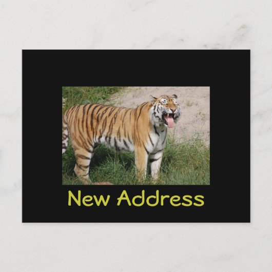 Tiger Postcard "New Address" Ankündigungspostkarte (Vorderseite)