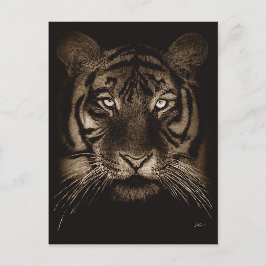 Tiger Postcard Postkarte (Vorderseite)