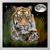 Tiger Poster (Vorne)