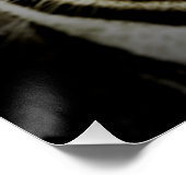 Tiger Poster (Ecke)