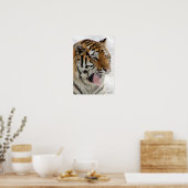 Tiger Poster (Küche)