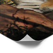 Tiger Poster (Ecke)