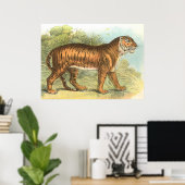 Tiger Poster (Heimbüro)