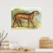 Tiger Poster (Küche)