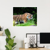 Tiger Poster (Heimbüro)