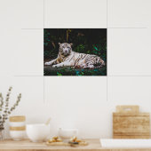 Tiger Poster (Küche)