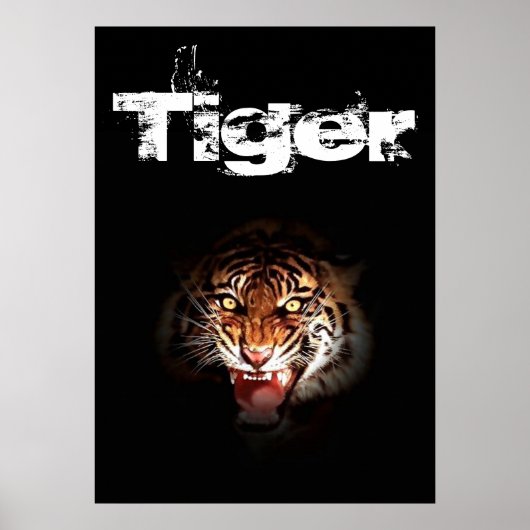 Tiger Poster (Vorne)