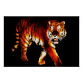 Tiger Poster (Vorderseite)