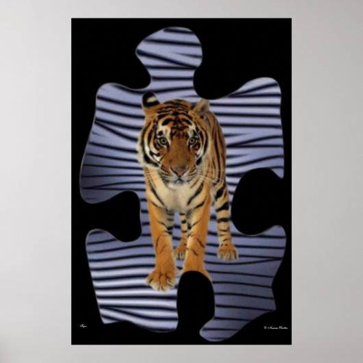 Tiger Poster (Vorne)