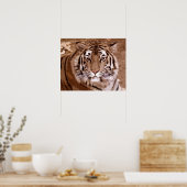 Tiger Poster (Küche)