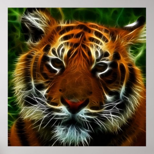 TIGER POSTER (Vorne)