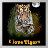 Tiger Poster (Vorne)