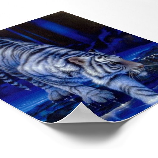 Tiger Poster (Ecke)