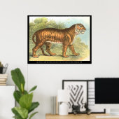 Tiger Poster (Heimbüro)