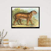 Tiger Poster (Küche)