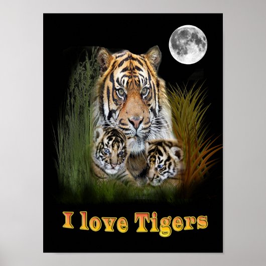 Tiger Poster (Vorne)