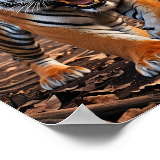 Tiger Poster (Ecke)