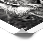 Tiger Poster (Ecke)