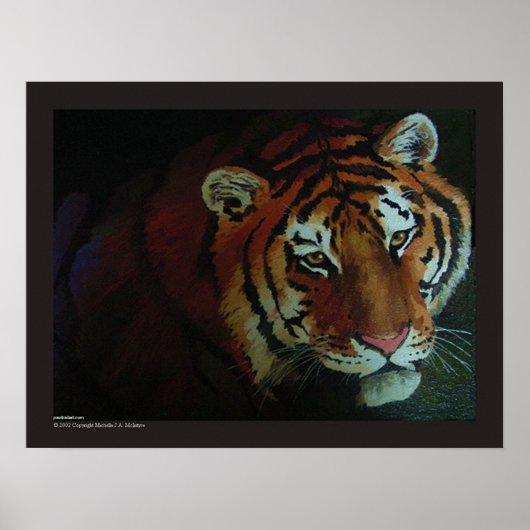 Tiger! Poster (Vorne)
