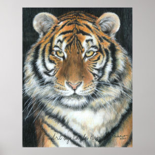 Tiger Poster, Art von Carla Kurt Poster