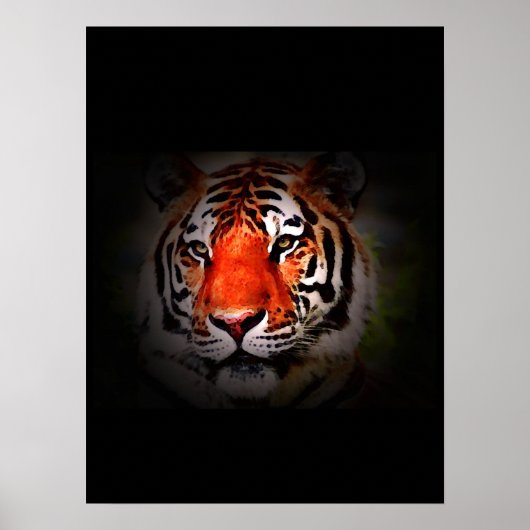 Tiger Poster Print - Pop Art Style Tigers Poster (Vorne)