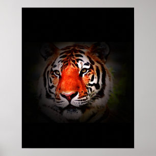 Tiger Poster Print - Pop Art Style Tigers Poster