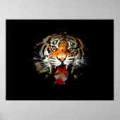 Tiger Poster Print - Pop Art Style Tigers Poster (Vorne)