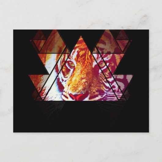 Tiger Postkarte (Vorderseite)