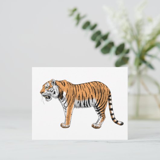 Tiger Postkarte (Stehend Vorderseite)