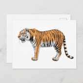 Tiger Postkarte (Vorne/Hinten)