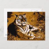 Tiger Postkarte (Vorne/Hinten)