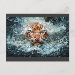 Tiger Postkarte