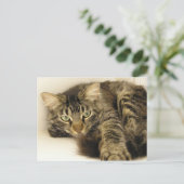 Tiger Postkarte (Stehend Vorderseite)