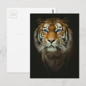 Tiger Postkarte (Vorne/Hinten)