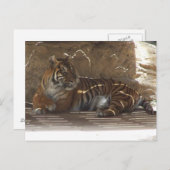 Tiger Postkarte (Vorne/Hinten)