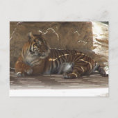 Tiger Postkarte (Vorderseite)