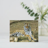 Tiger Postkarte (Stehend Vorderseite)