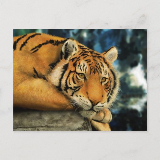 Tiger Postkarte (Vorderseite)