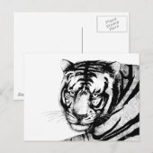 TIGER POSTKARTE (Vorne/Hinten)