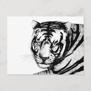 TIGER POSTKARTE