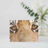 Tiger Postkarte (Stehend Vorderseite)