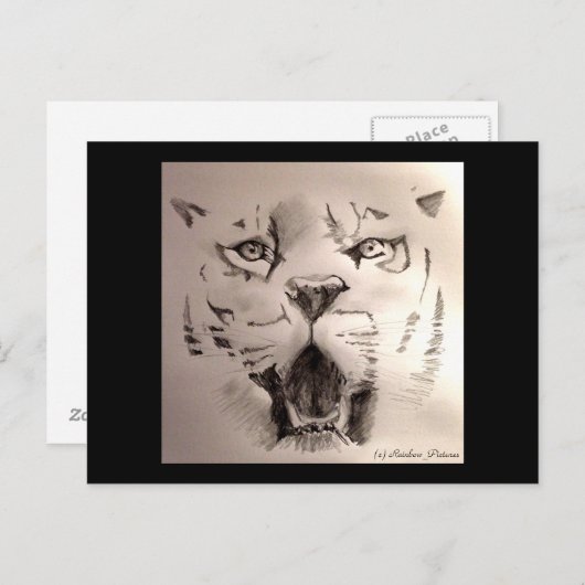Tiger Postkarte (Vorne/Hinten)