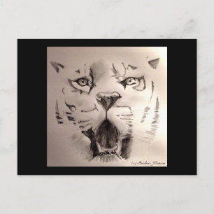 Tiger Postkarte
