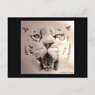 Tiger Postkarte