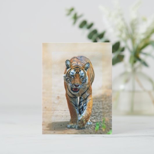 Tiger Postkarte (Stehend Vorderseite)