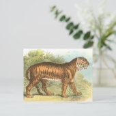 Tiger Postkarte (Stehend Vorderseite)