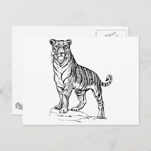 Tiger Postkarte (Vorne/Hinten)