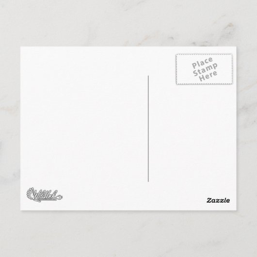 Tiger Postkarte (Rückseite)